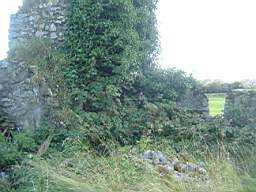 bellanamullia - 1170.JPG